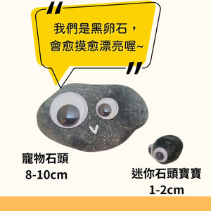 寵物石頭 - 世上最棒的寵物