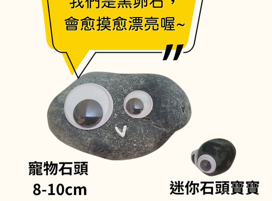 寵物石頭 - 世上最棒的寵物